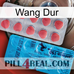 Hard Wang new14
